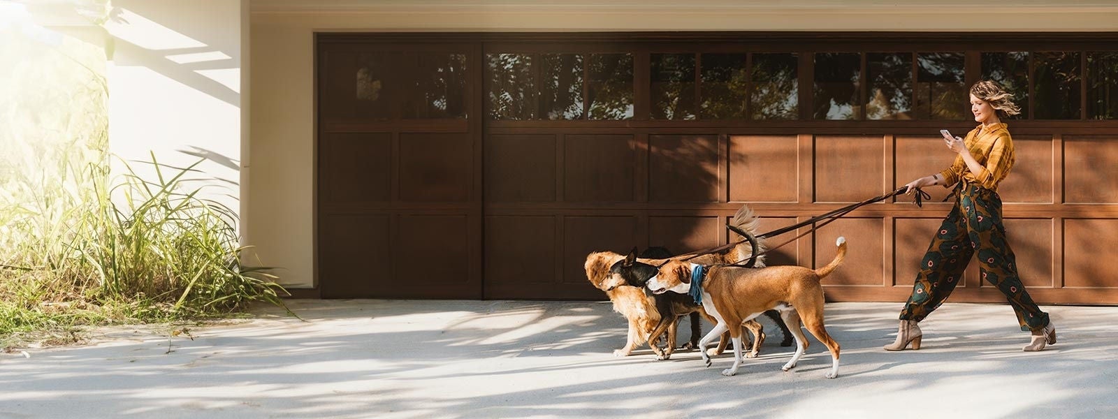 woman dogwalker